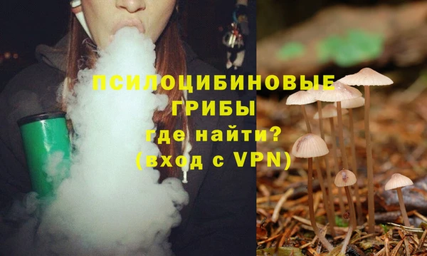 тгк Абинск