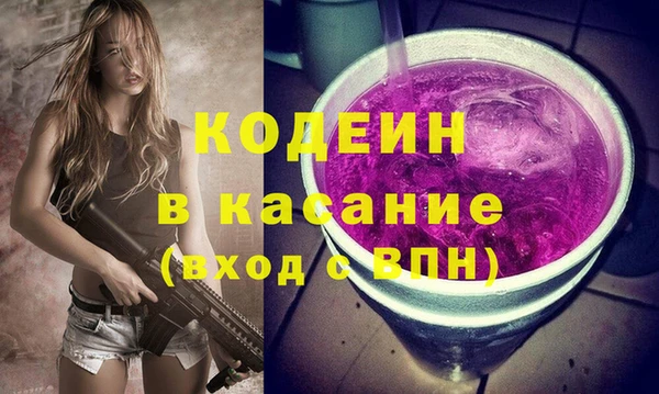 крисы Сатка